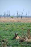 Mtanda Plain 3