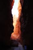 Bryce Canyon